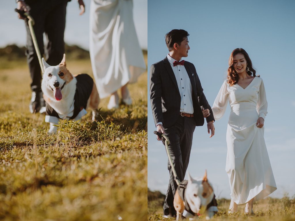 自主婚紗,婚紗包套,優質婚攝